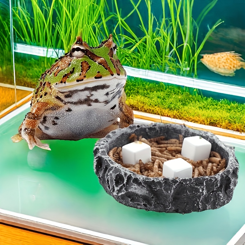 6 Pcs Fish Tank Calcium Block  - Calcium Powder Reptile のレビューと価格