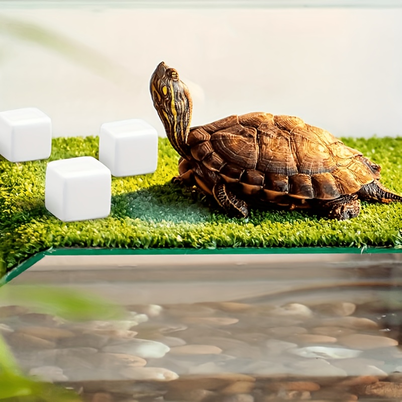 6 Pcs Fish Tank Calcium Block  - Calcium Powder Reptile のレビューと価格