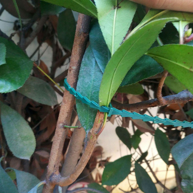13cm Adjustable Plastic Plant  - Vine Climbing Plastic のレビューと価格