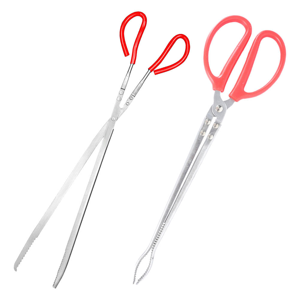 2Pcs Stainless Steel Snake Ton - Feeding Tong Stainless のレビューと価格
