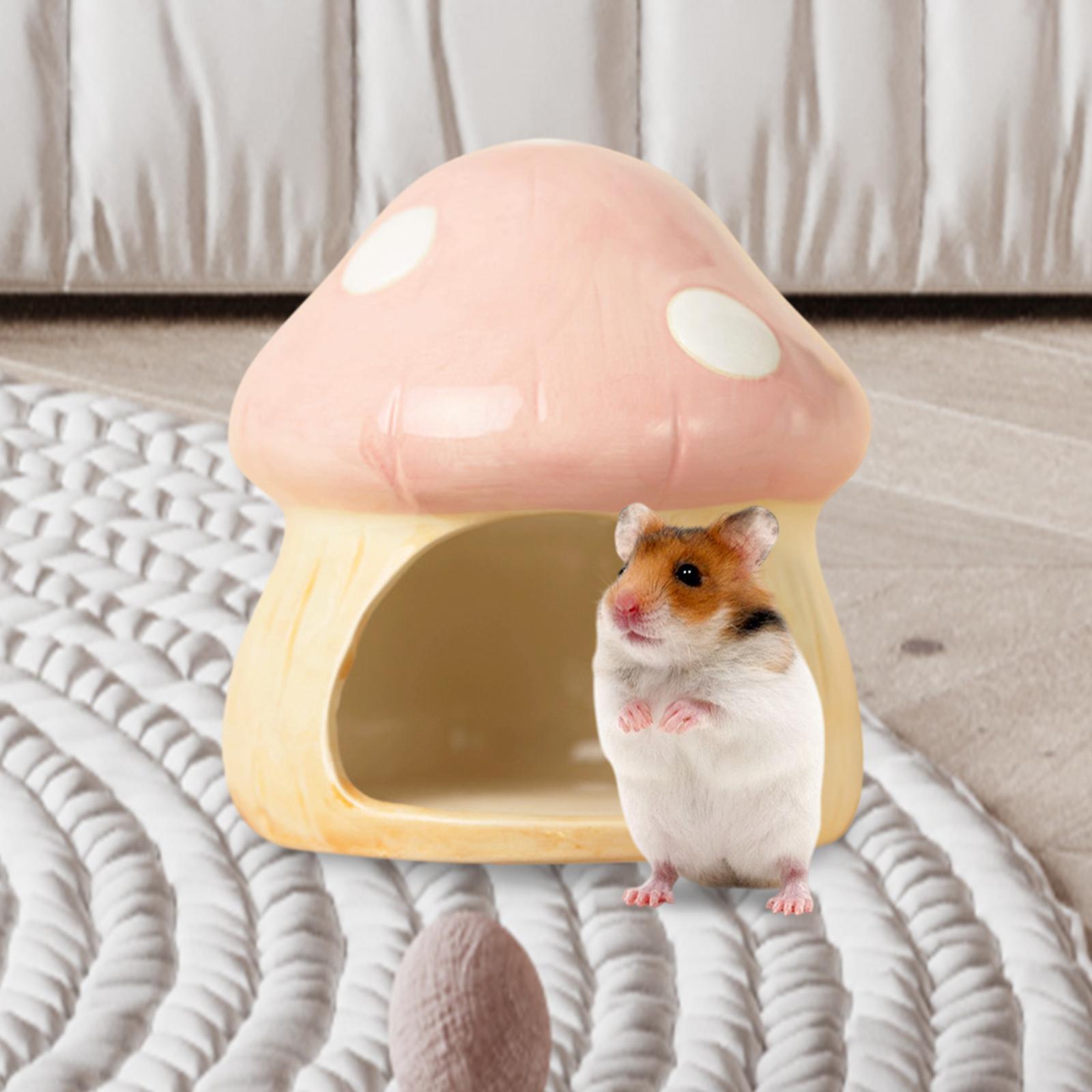 Ceramic Mushroom Hamster Hideo - Hide Cave Ceramic のレビューと価格