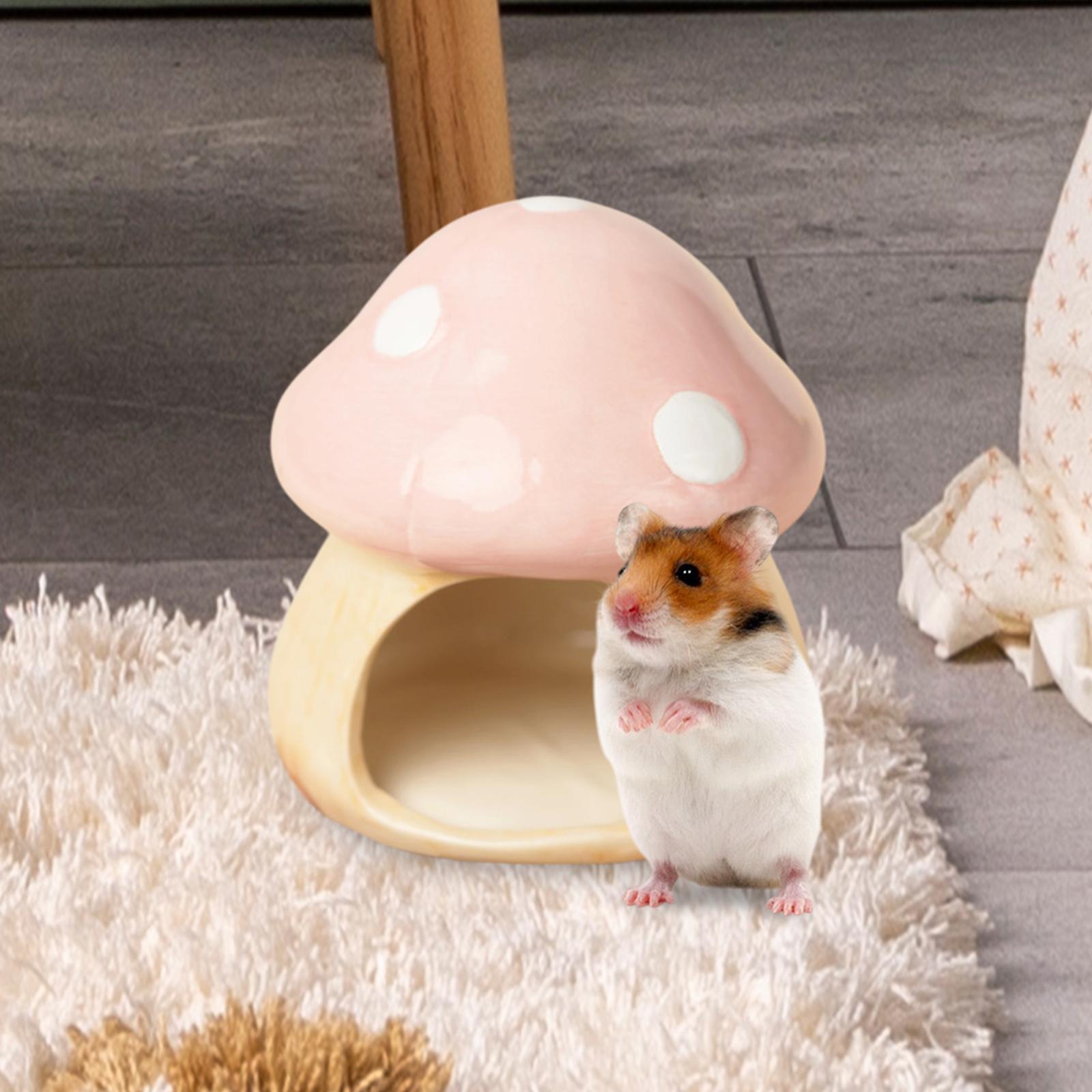 Ceramic Mushroom Hamster Hideo - Hide Cave Ceramic のレビューと価格